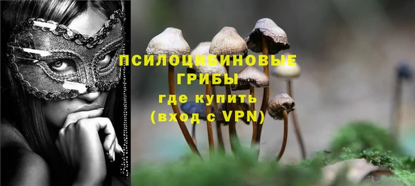 твердый Гатчина