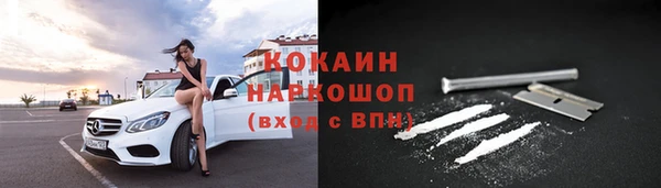 прущие грибы Гвардейск