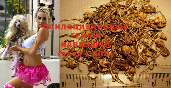 Альфа ПВП Баксан