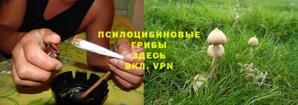 Альфа ПВП Баксан