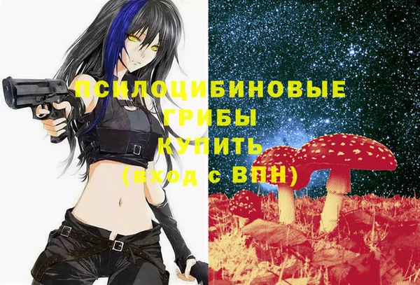 Альфа ПВП Баксан